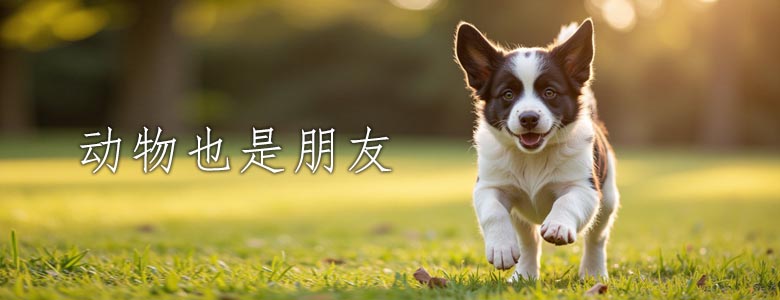 它们也是朋友